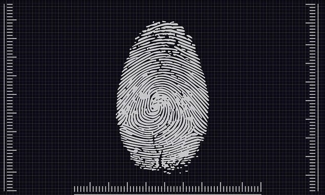 crime scene photography scanning